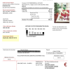 France Gaz de France Dolcevita utility bill template in Word and PDF format