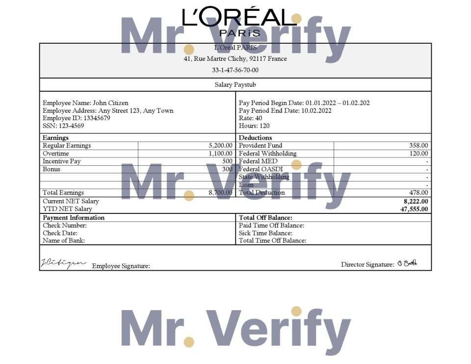 France Loreal Paris cosmetic distributing company pay stub Word and PDF template