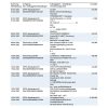 Germany 1822direkt bank statement, Word and PDF template