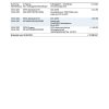 Germany 1822direkt bank statement, Word and PDF template