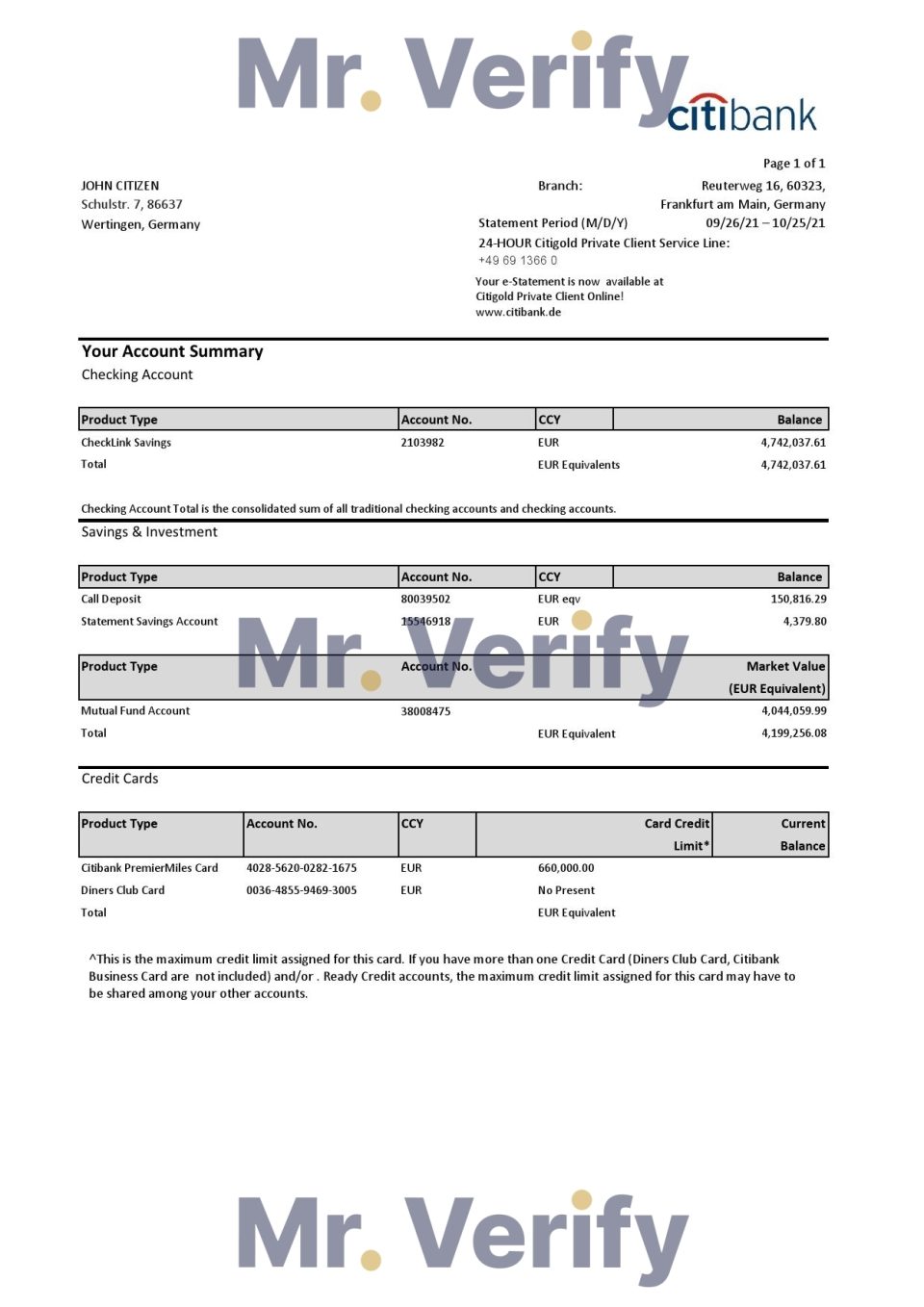 Germany Citibank bank account statement template in Excel and PDF format