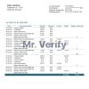 Germany N26 bank statement template in Word and PDF format