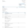 Germany Volksbank Jever statement template in Excel and PDF format