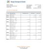 Guinea Banque Islamique de Guinée bank statement Excel and PDF template