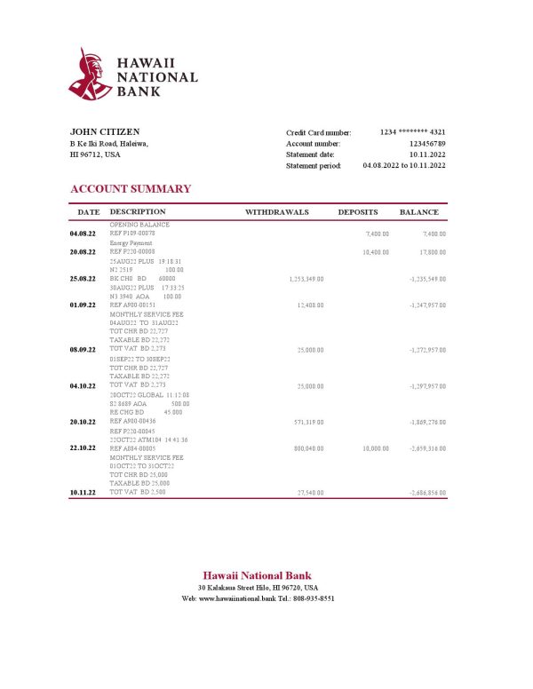 Hawaii National Bank statement Excel and PDF template