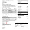 Hong Kong HSBC bank Visa Platinum credit card statement template in Word and PDF format