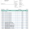 India Bandhan bank statement, Word and PDF template, 2 pages