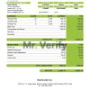 India Biz2Credit Inc. consumer lending company pay stub Word and PDF template