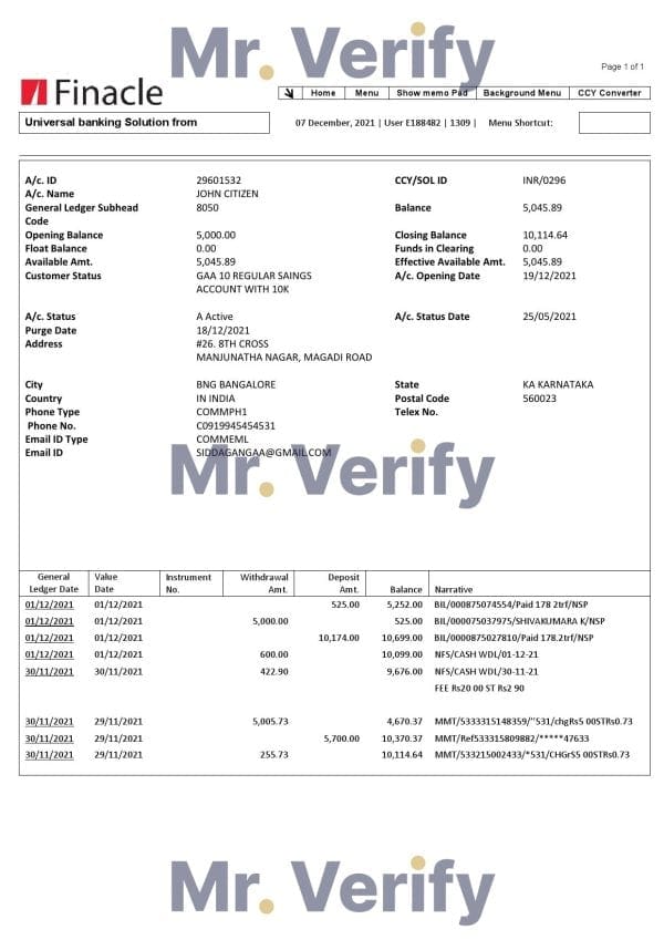 India Finacle bank statement easy to fill template in Word and PDF format