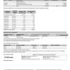 India ICICI Bank statement template in Word and PDF format (2 pages)