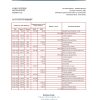 Iraq Rafidain Bank statement Excel and PDF template