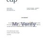 Download Italy CDP Bank Reference Letter Templates | Editable Word