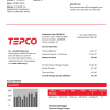Japan Tokyo Electric Power Company electricity utility bill template in Word and PDF format