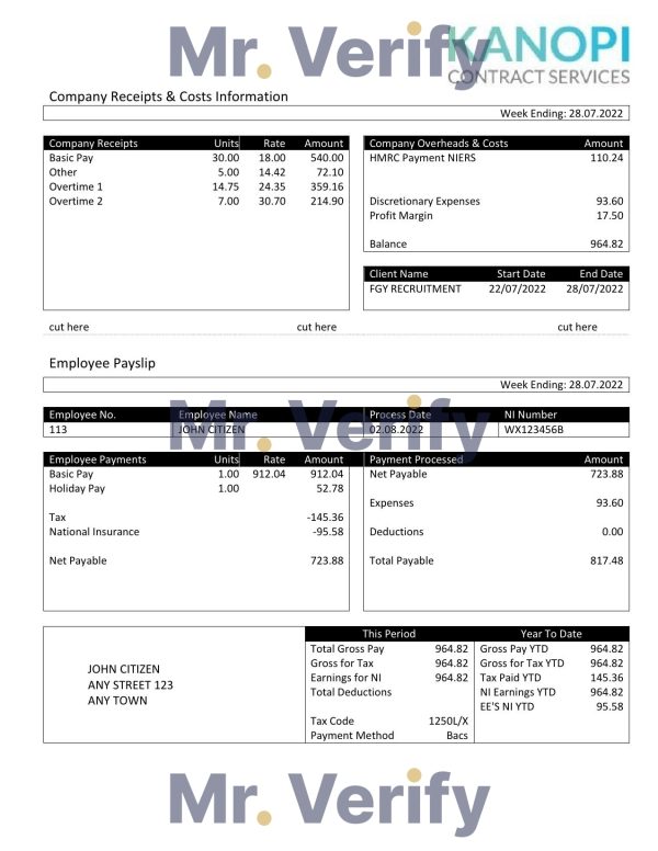 USA Southwest Airlines airlines company pay stub Word and PDF template