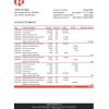 Kazakhstan Kaspi bank statement Excel and PDF template