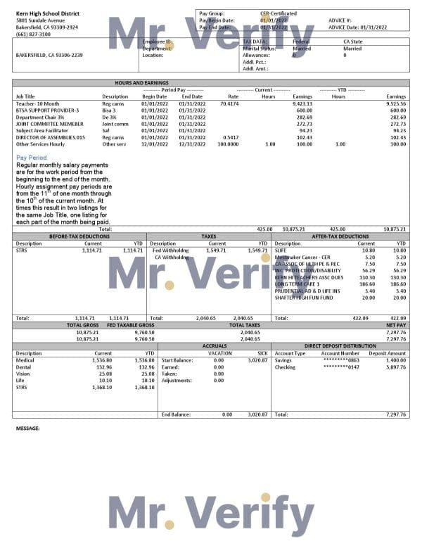 UAE Sherwin-Williams Paints paint manufacturing company pay stub Word and PDF template