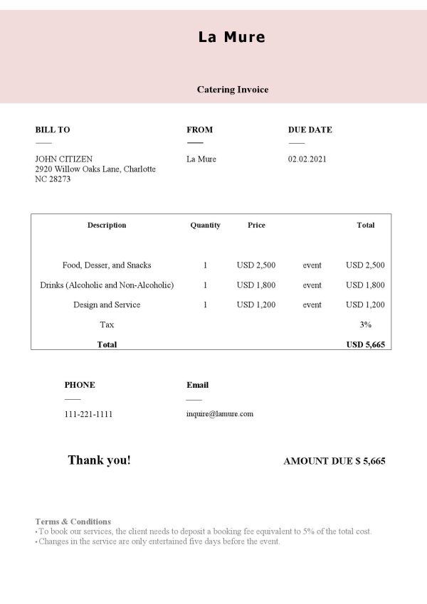 USA Netflix invoice template in Word and PDF format, fully editable