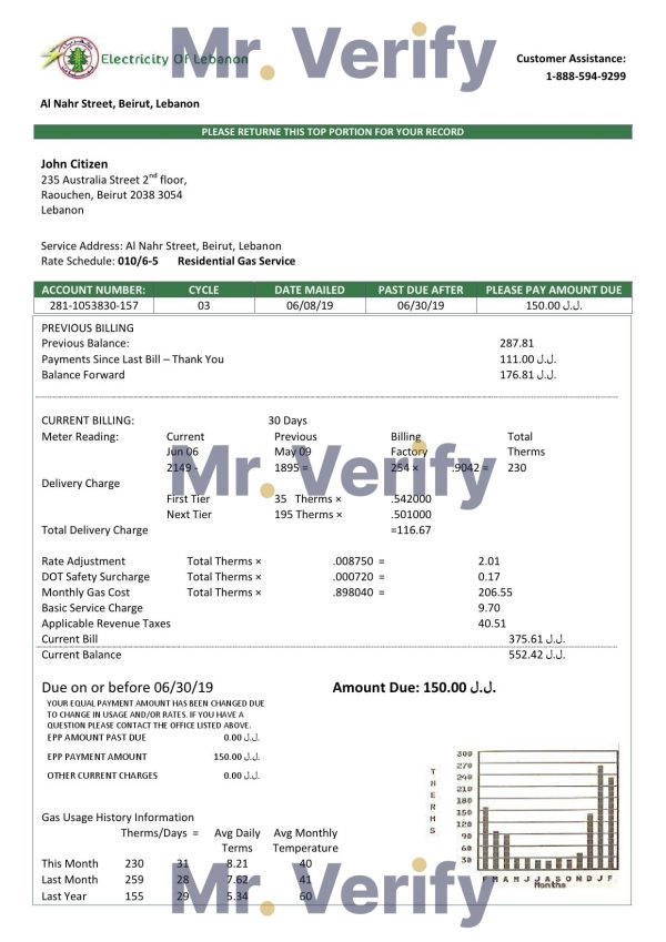 Lebanon Electricity of Lebanon utility bill template in Word and PDF format