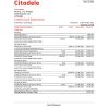 Lithuania (Litva) Citadele bank credit card statement template in Excel and PDF format