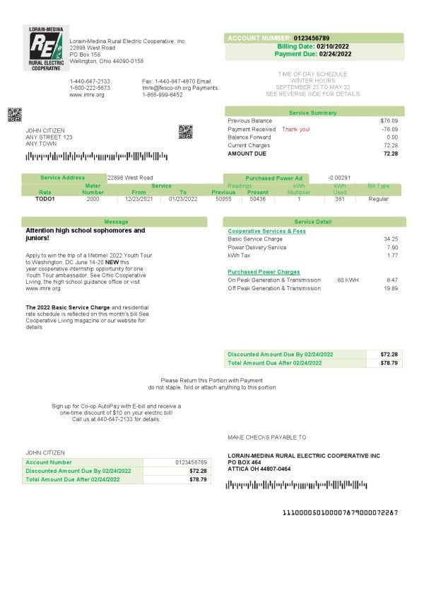 USA Ohio Lorain-Medina Rural Electric utility bill template in Word and PDF format