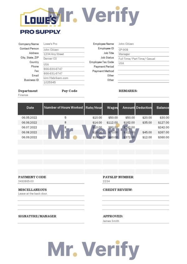 Australia Shield Geo consulting company pay stub Word and PDF template