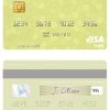 Fillable Malaysia AmBank visa credit card Templates | Layer-Based PSD