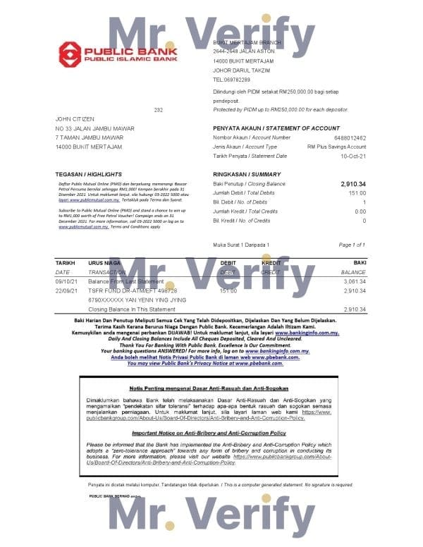 Malaysia Public Bank statement easy to fill template in Excel and PDF format