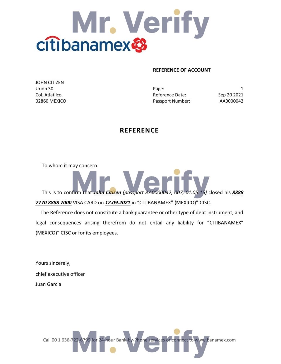 Download Mexico Citibanamex Bank Reference Letter Templates | Editable Word