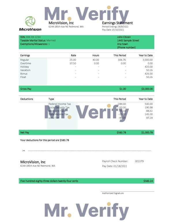 UAE Sherwin-Williams Paints paint manufacturing company pay stub Word and PDF template