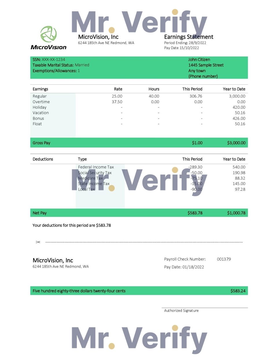 USA MicroVision informational company pay stub Word and PDF template