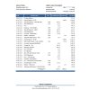 Moldova Banca Transilvania bank statement Excel and PDF template