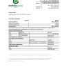 Moldova Mobiasbanca bank statement Excel and PDF template