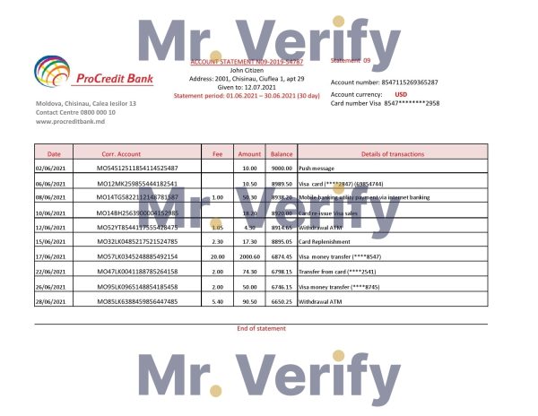 Moldova Procredit bank statement easy to fill template in .xls and .pdf file format 600x464 - Cart