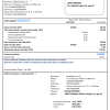 Moldova Moldtelecom utility bill template in Word and PDF format, fully editable