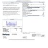 USA Mon Power utility bill template in Word and PDF format