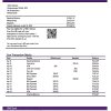Netherlands SNS bank statement template in Word and PDF format