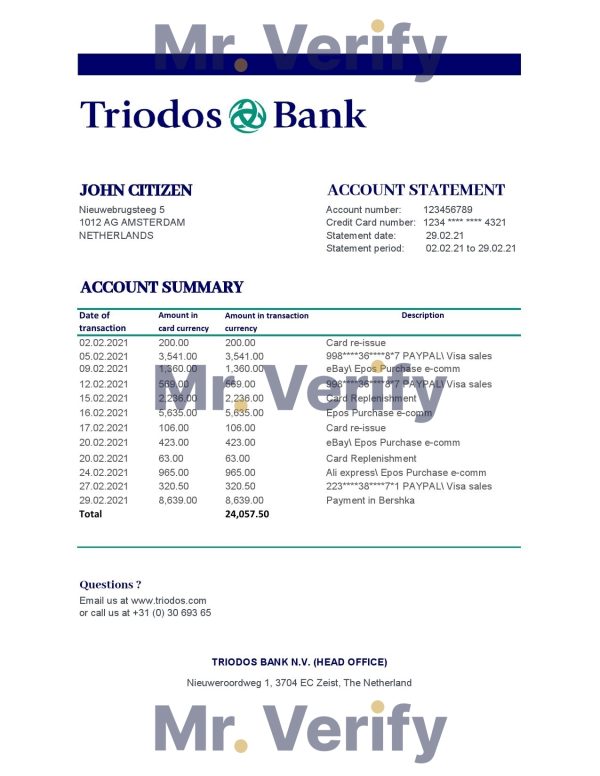 Netherlands Triodos Bank statement easy to fill template in Excel and PDF format 600x776 - Cart