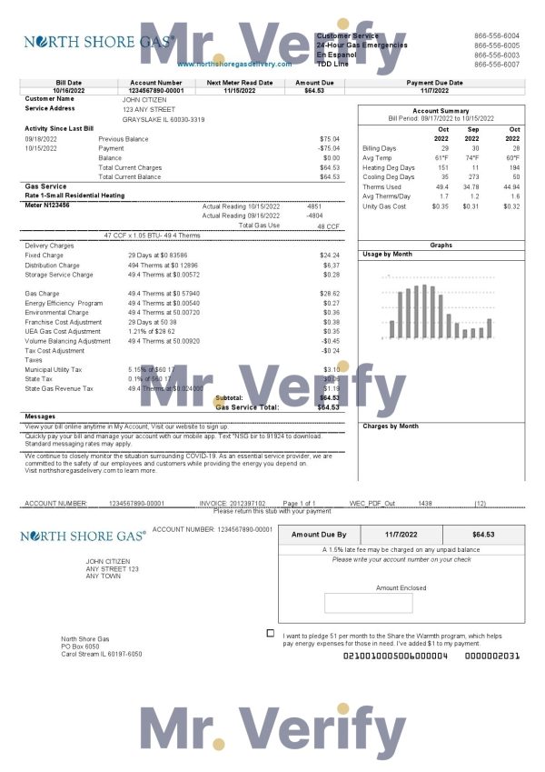 Bahrain Viva my utility bill Word and PDF template, 5 pages