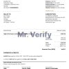 High-Quality Norway Servebolt high performance hosting company Invoice Template PDF | Fully Editable