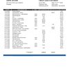 Paraguay Banco Amambay bank statement template in Word and PDF format