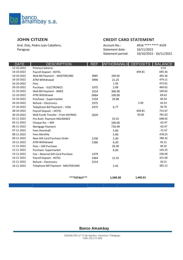 USA Bank of America bank statement template in Word and PDF format (4 pages), version 3
