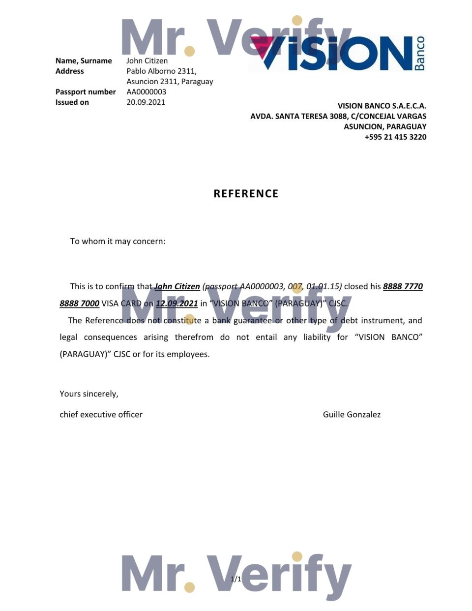 Download Paraguay Vision Banco Bank Reference Letter Templates | Editable Word