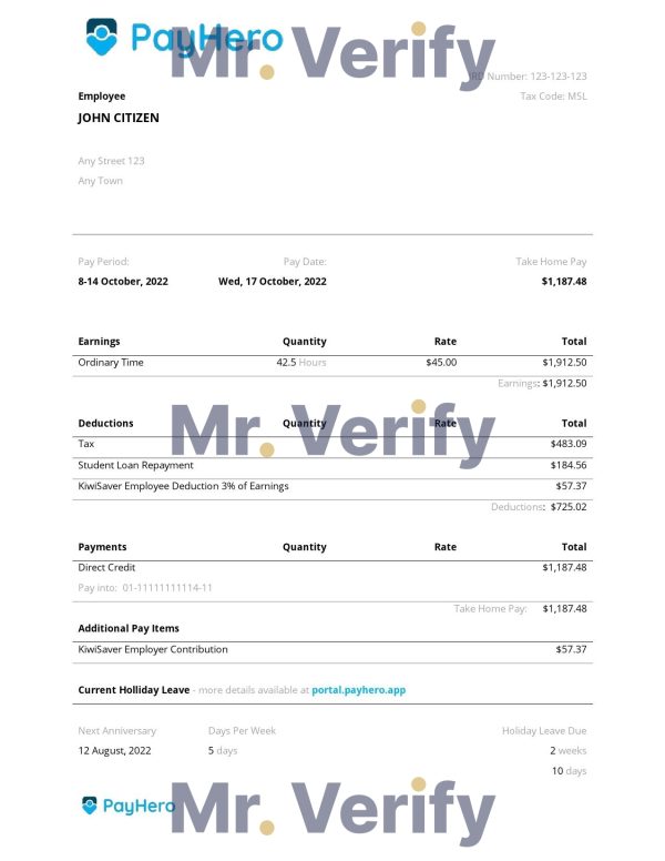 USA Southwest Airlines airlines company pay stub Word and PDF template