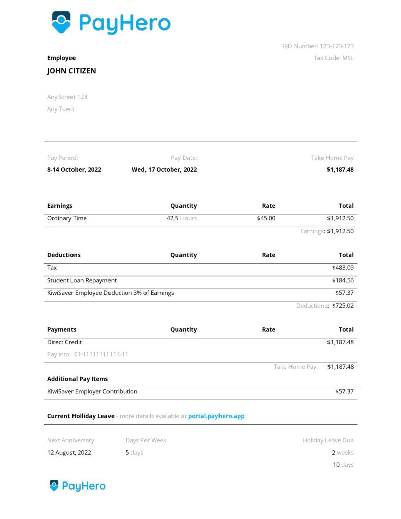 USA PayHero financial company pay stub Word and PDF template