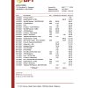 Philippines Bank of the Philippine bank statement easy to fill template in Excel and PDF format