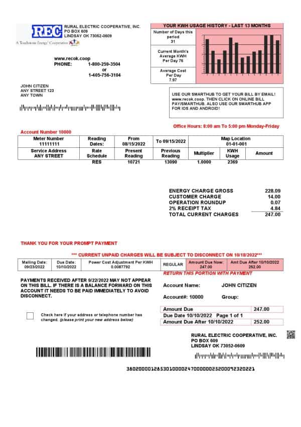 USA Rural Electric Cooperative utility bill template in Word and PDF format