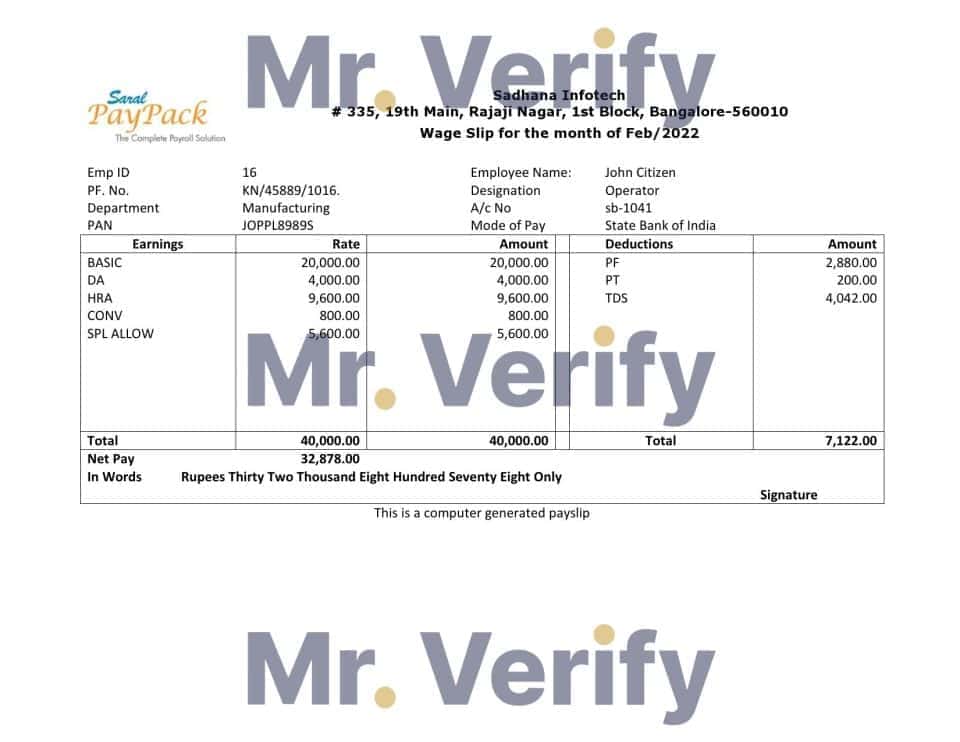 India Sadhana infotech pharmaceutical company pay stub Word and PDF template