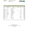 Saudi Arabia SNB bank statement, Excel and PDF template