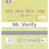 Fillable Serbia Raiffeisen banka a.d. Beograd visa debit card Templates | Layer-Based PSD