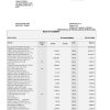 South Africa Standard bank statement, Word and PDF template, 6 pages